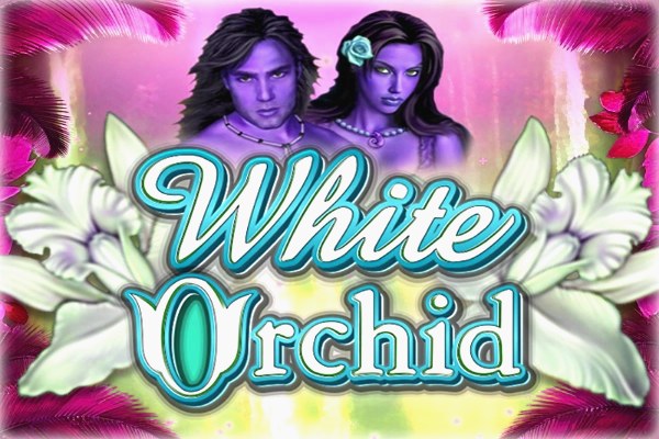 White Orchid Demo Slot